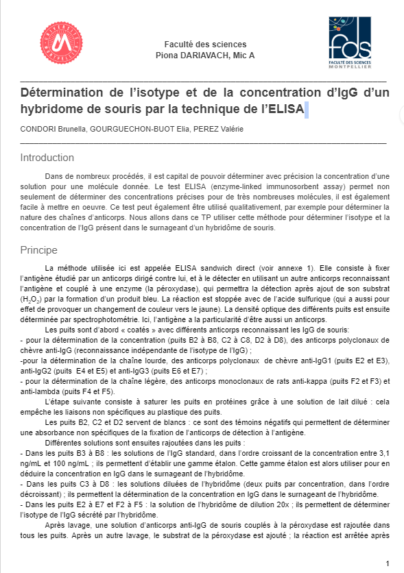 preview CV